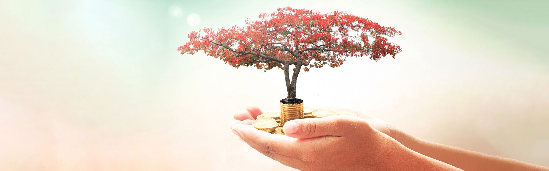 Azim Premji Foundation – Bringing Professional Excellence to Philanthropy