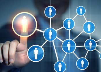 Organisational Knowledge Networks and Local Search