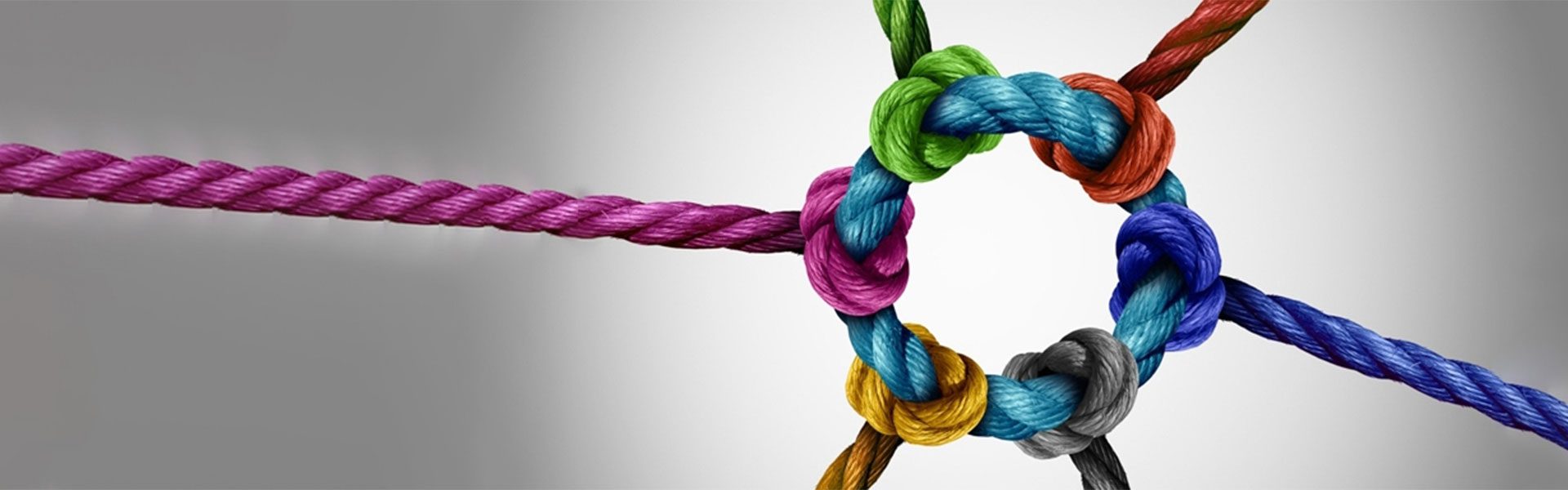 Family Businesses Need to Professionalize Governance Mechanisms