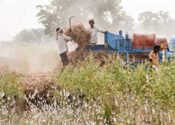 Is the World’s Largest Public Workfare Programme Crowding Out Private Employment?