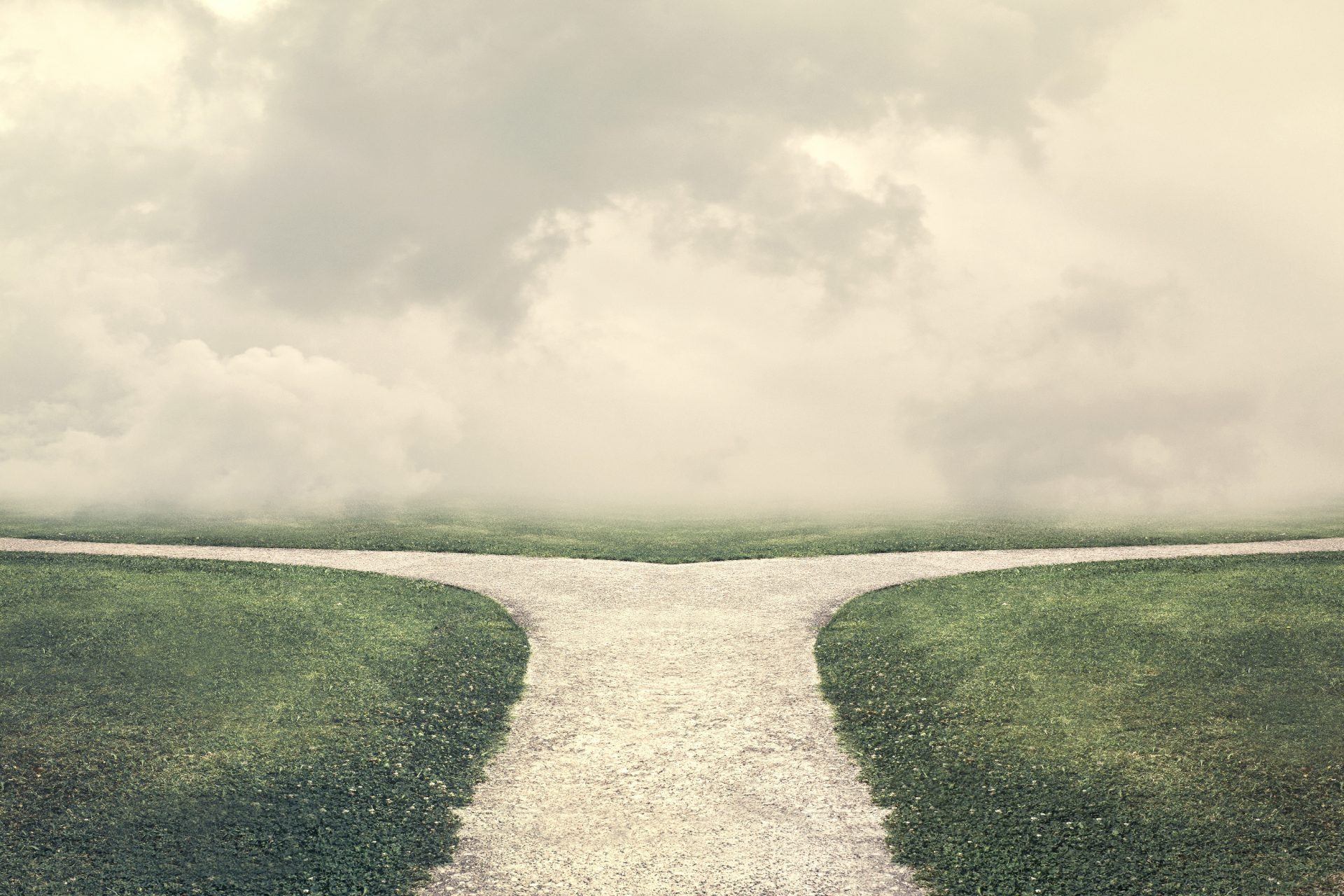 Pricing Strategy for Service Start-ups: How to Employ Access and Usage Fee?