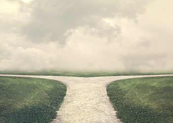 Pricing Strategy for Service Start-ups: How to Employ Access and Usage Fee?