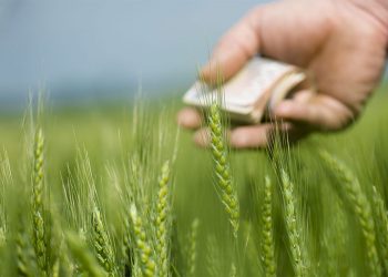 Are Jan Dhan Bank Accounts Actively Used?