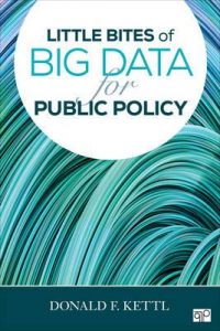 little-bites-of-big-data-for-public-policy