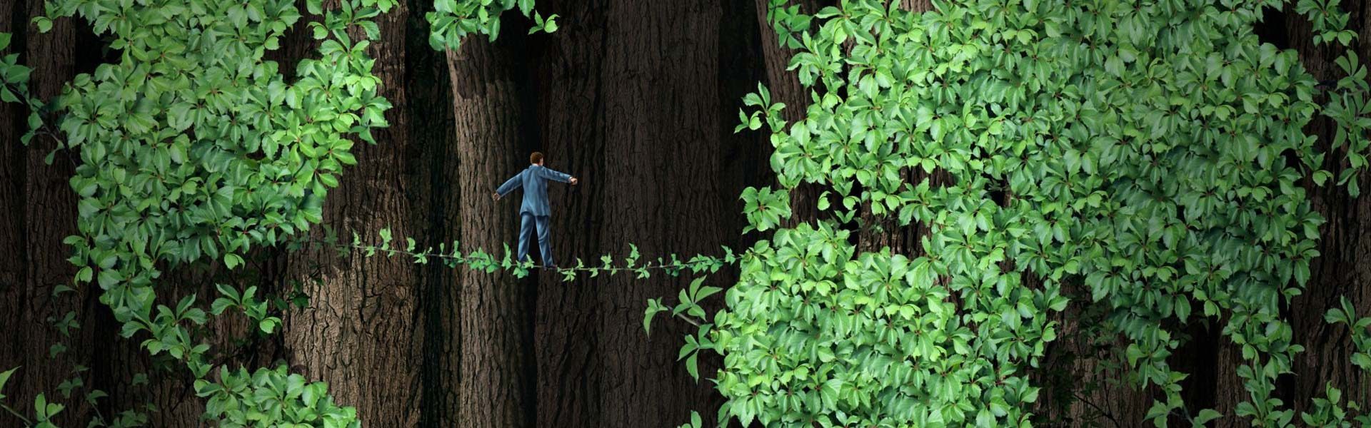 Can Trade Save Forests?