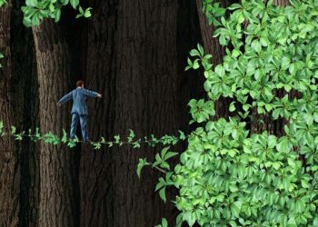 Can Trade Save Forests?