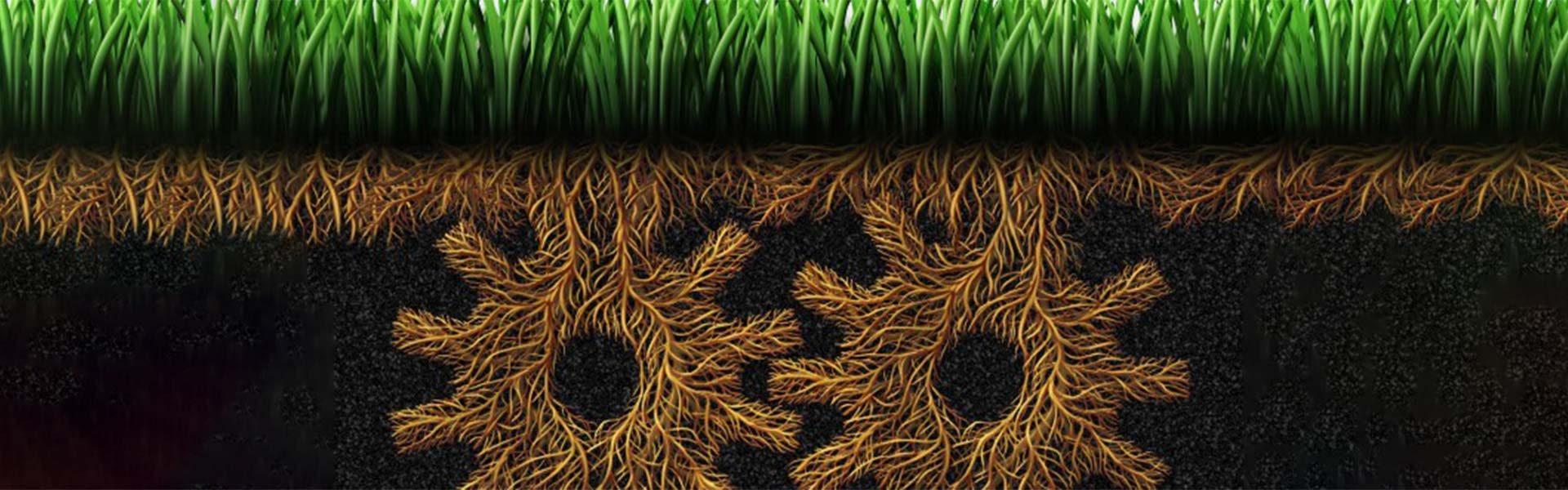 “We Want to Create More Flipkarts”: Generating Innovation Systematically