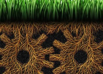 “We Want to Create More Flipkarts”: Generating Innovation Systematically