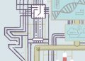 Can IP-Led Innovation Help India Hurdle the Middle-Income Trap?