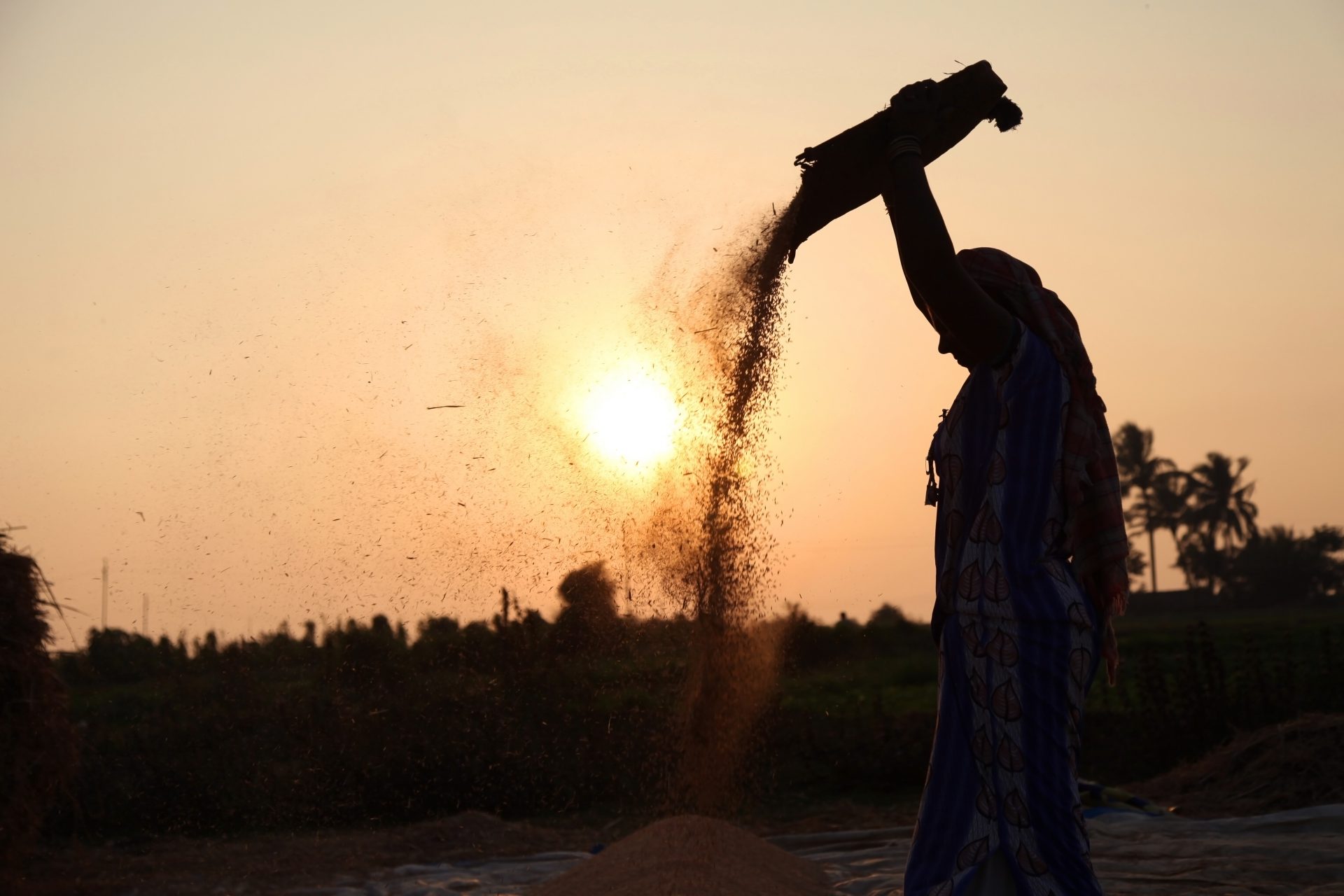 The Indian Agriculture Crisis: Perspectives and Interventions