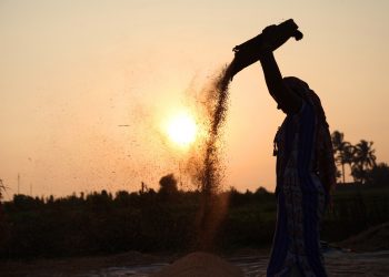 The Indian Agriculture Crisis: Perspectives and Interventions