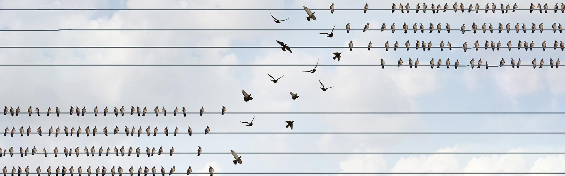 Do Hedge Funds Gain from Mutual Funds’ Brain Drain?