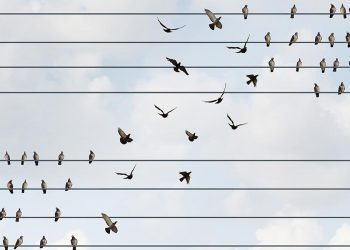 Do Hedge Funds Gain from Mutual Funds’ Brain Drain?