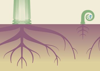 Family Businesses: Spreading Roots and Wings