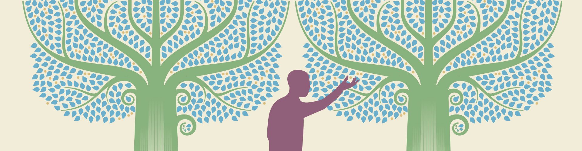 Family Businesses: Spreading Roots and Wings