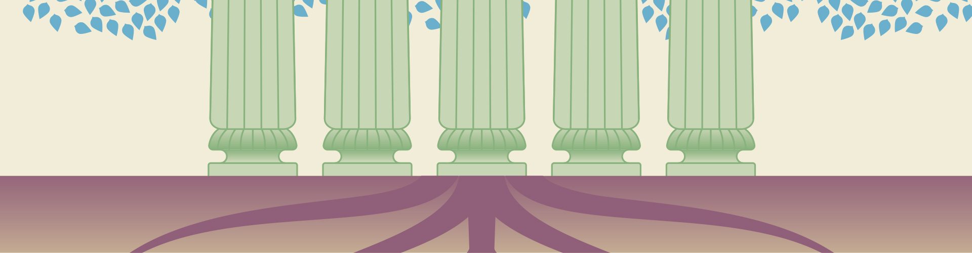 Family Businesses: Spreading Roots and Wings